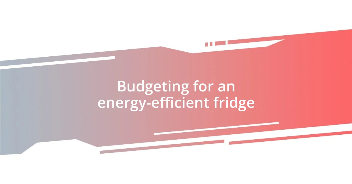 Budgeting for an energy-efficient fridge